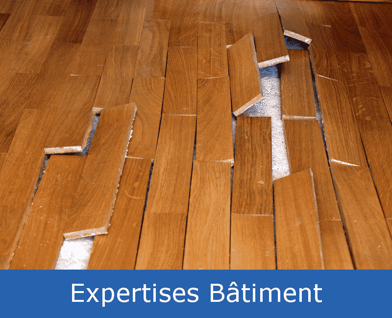 Expert en expertises bâtiment La Roche-Sur-Yon et dans tout le 85